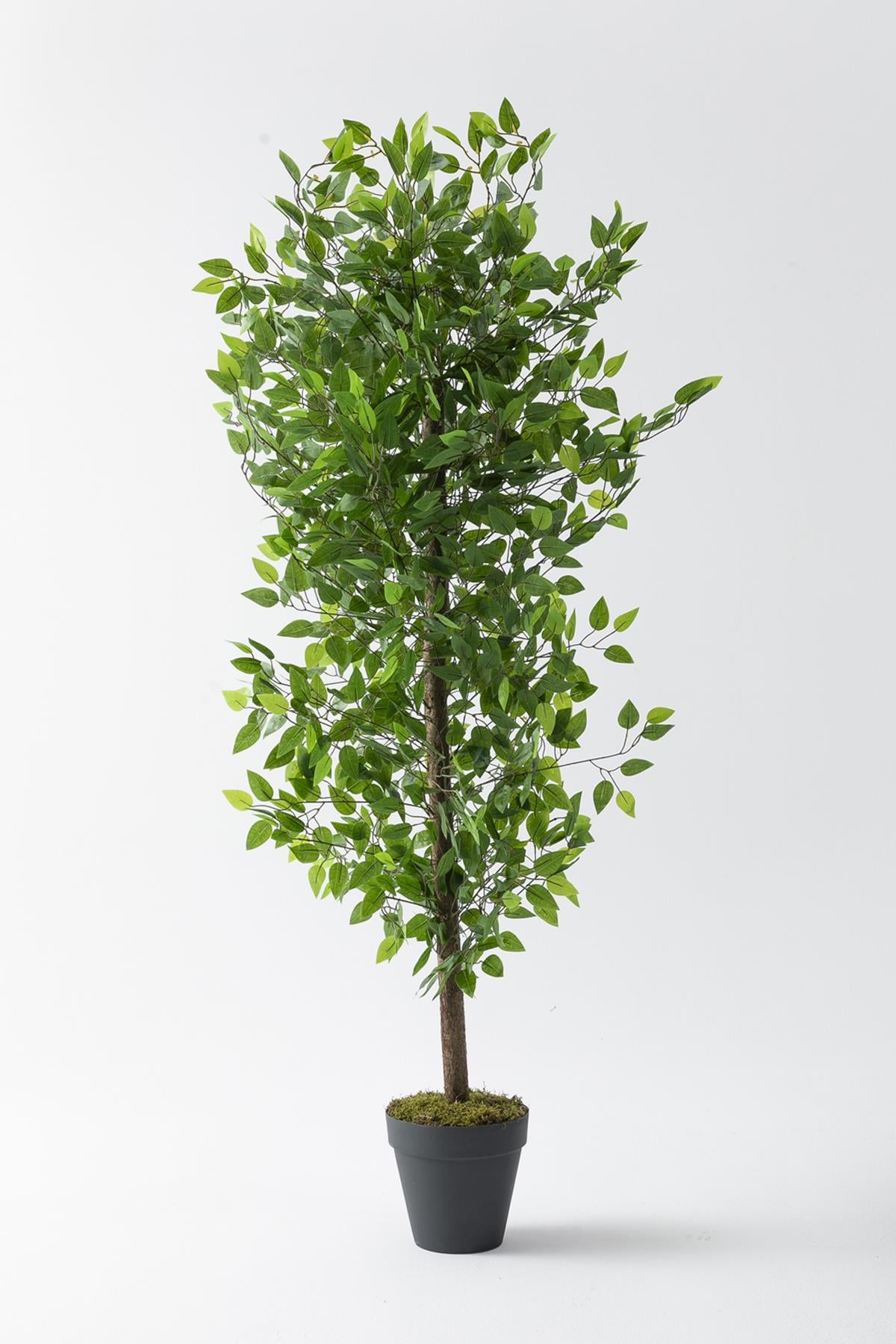 Yapay Benjamin Ağacı 180 Cm 108 Dal