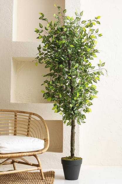 Yapay Benjamin Ağacı 180 Cm 108 Dal Açık Yeşil