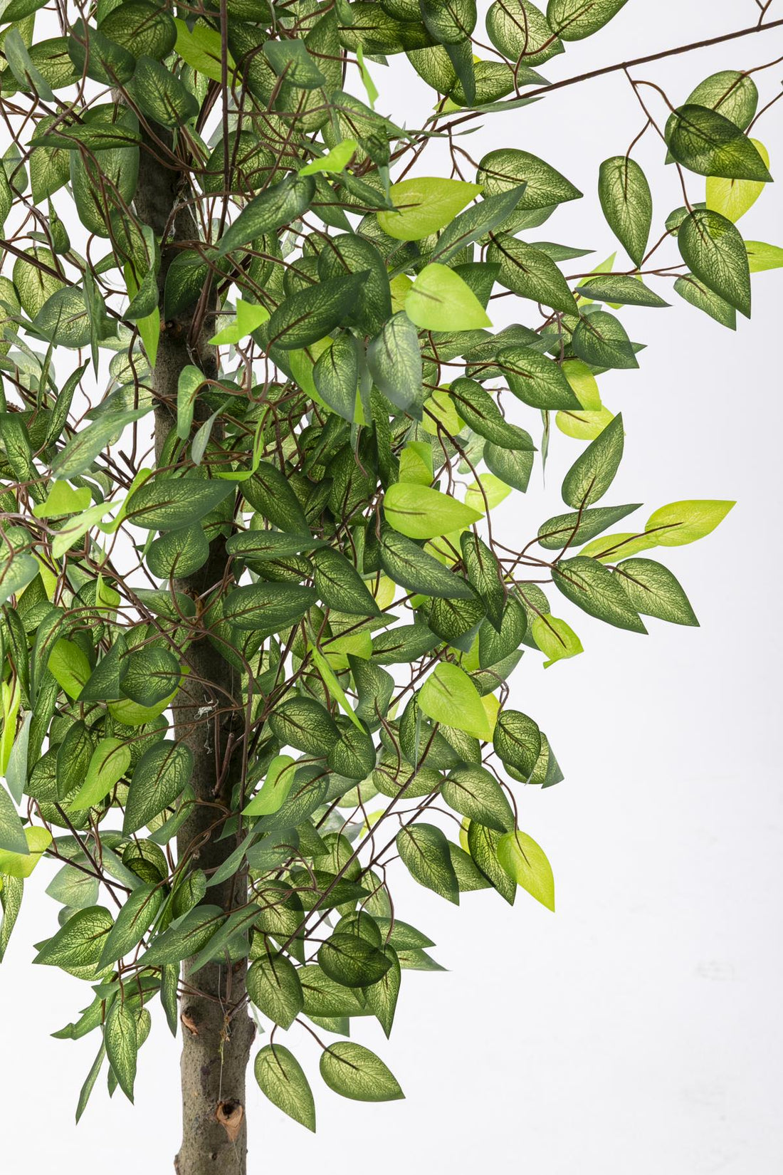 Yapay Benjamin Ağacı 180 Cm 108 Dal Açık Yeşil