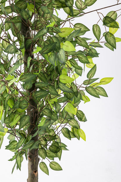 Yapay Benjamin Ağacı 180 Cm 108 Dal Açık Yeşil