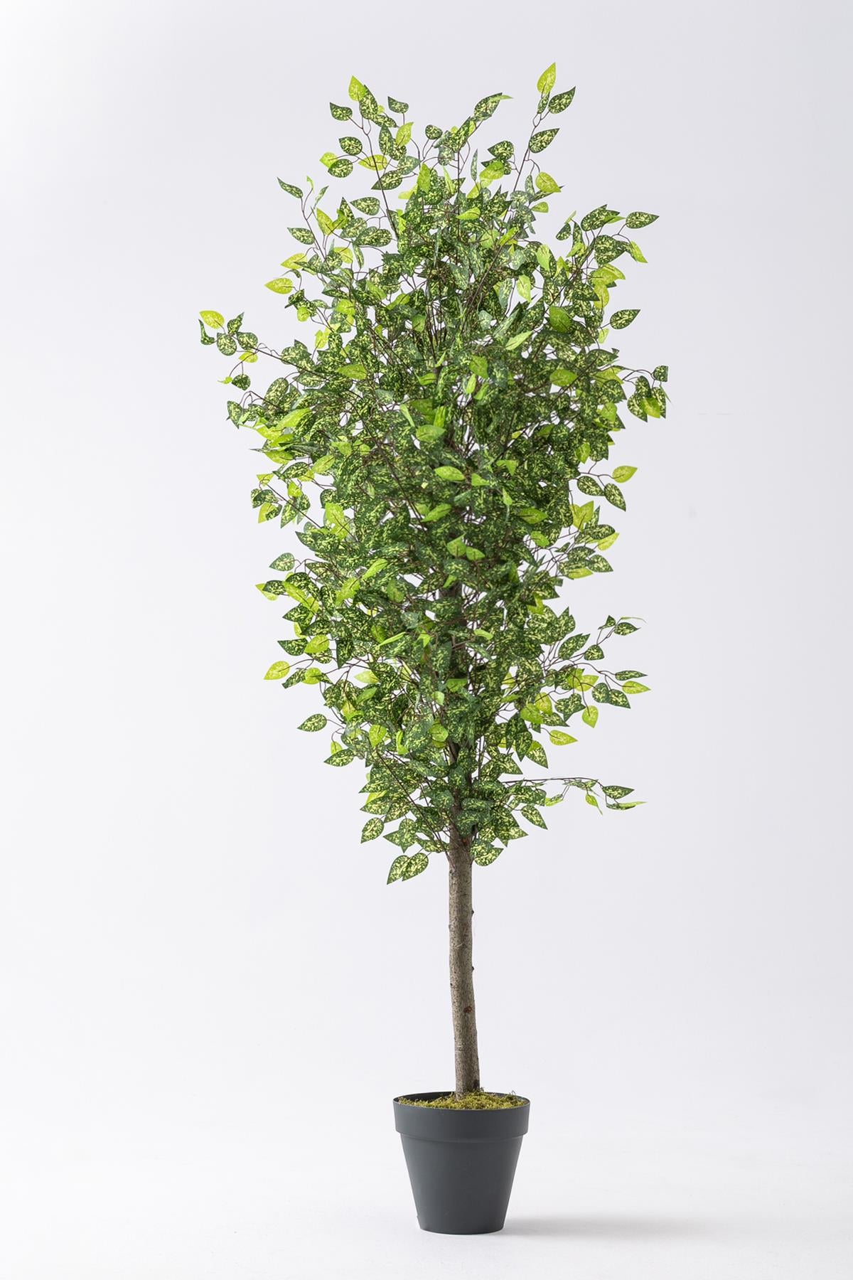 Yapay Benjamin Ağacı 180 Cm 108 Dal Alacalı Yeşil