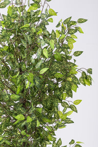 Yapay Benjamin Ağacı 180 Cm 108 Dal Alacalı Yeşil