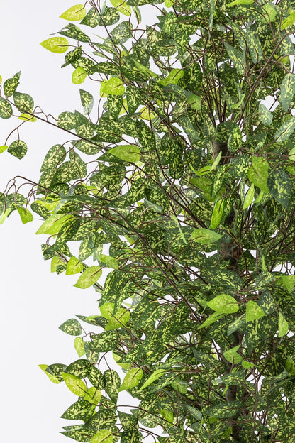 Yapay Benjamin Ağacı 180 Cm 108 Dal Alacalı Yeşil