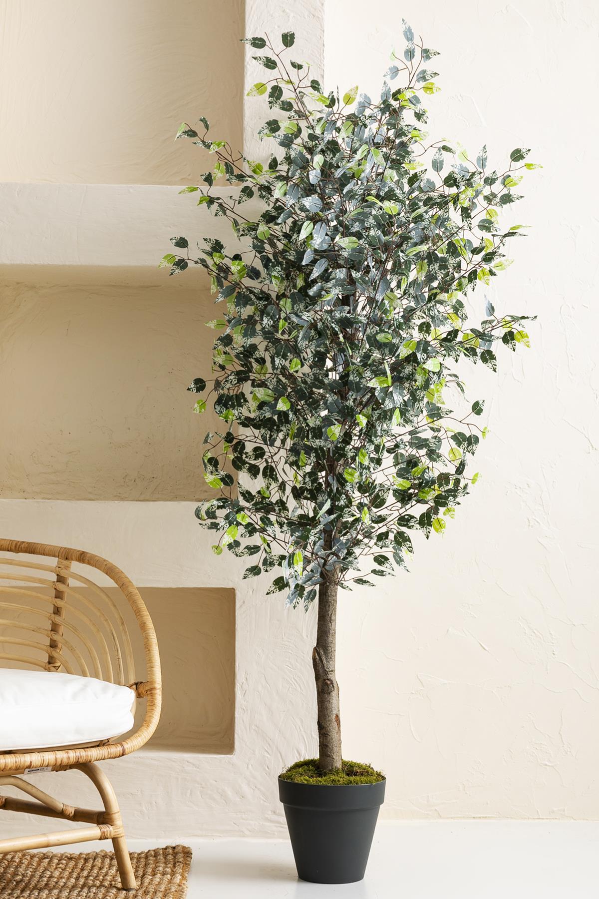 Yapay Benjamin Ağacı 180 Cm 108 Dal Yeşil Beyaz