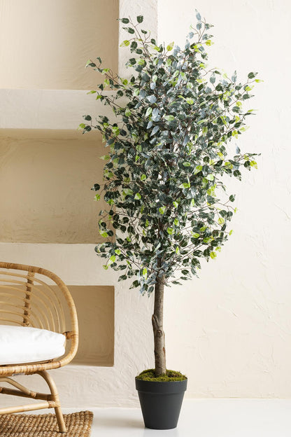 Yapay Benjamin Ağacı 180 Cm 108 Dal Yeşil Beyaz