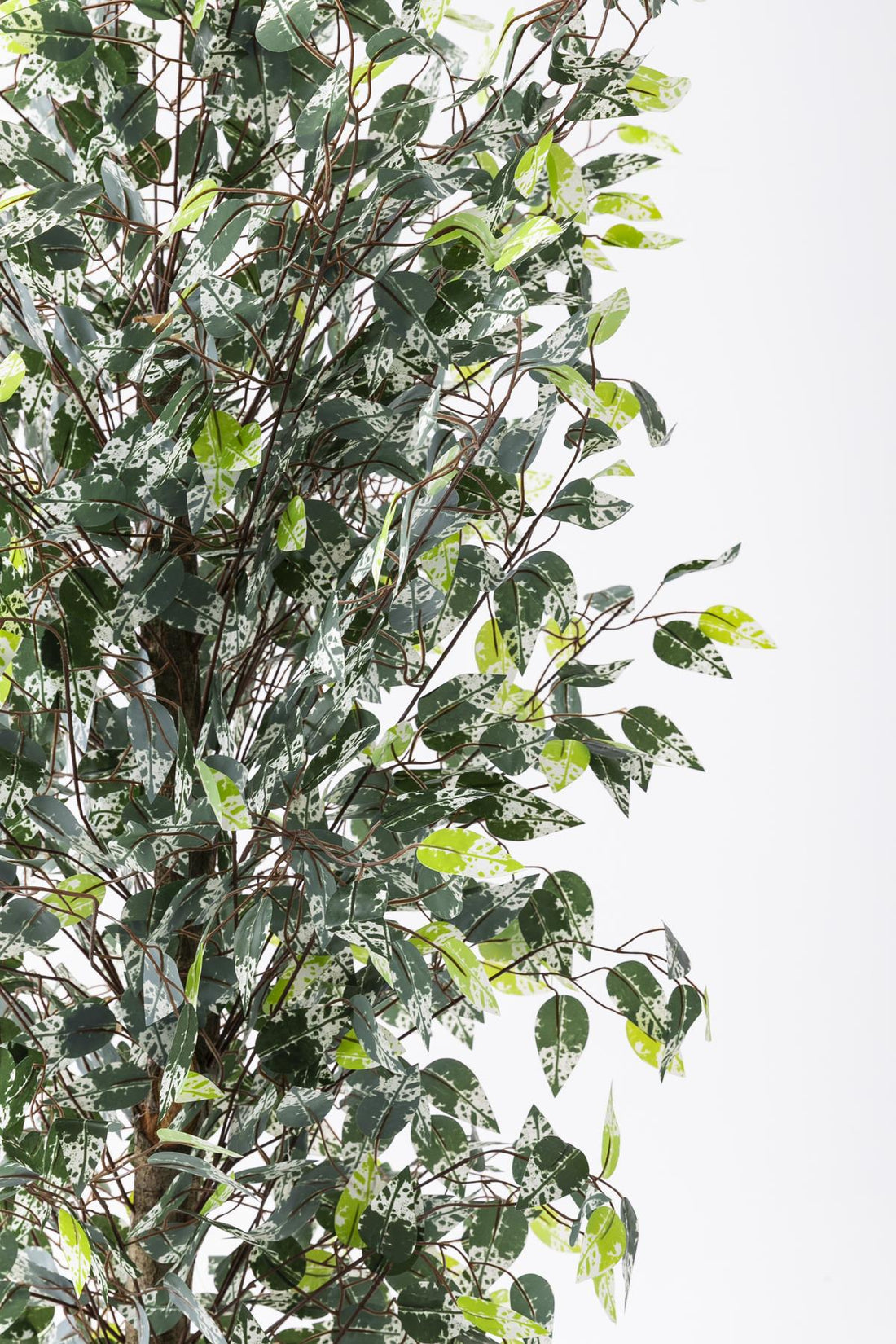 Yapay Benjamin Ağacı 180 Cm 108 Dal Yeşil Beyaz