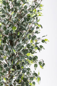 Yapay Benjamin Ağacı 180 Cm 108 Dal Yeşil Beyaz