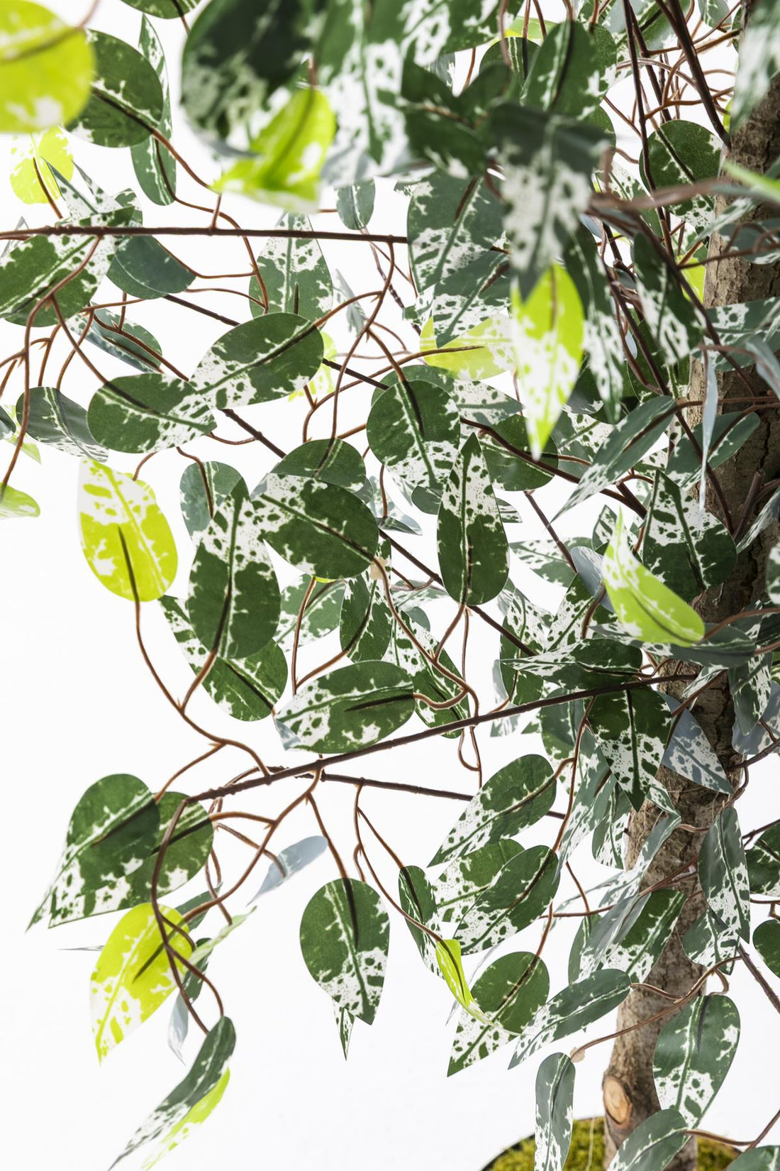 Yapay Benjamin Ağacı 180 Cm 108 Dal Yeşil Beyaz