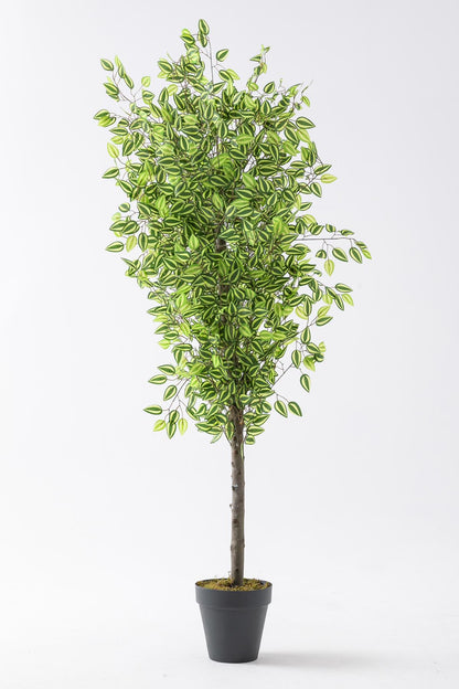 Yapay Benjamin Ağacı 180 Cm 108 Dal Yeşil Sarı