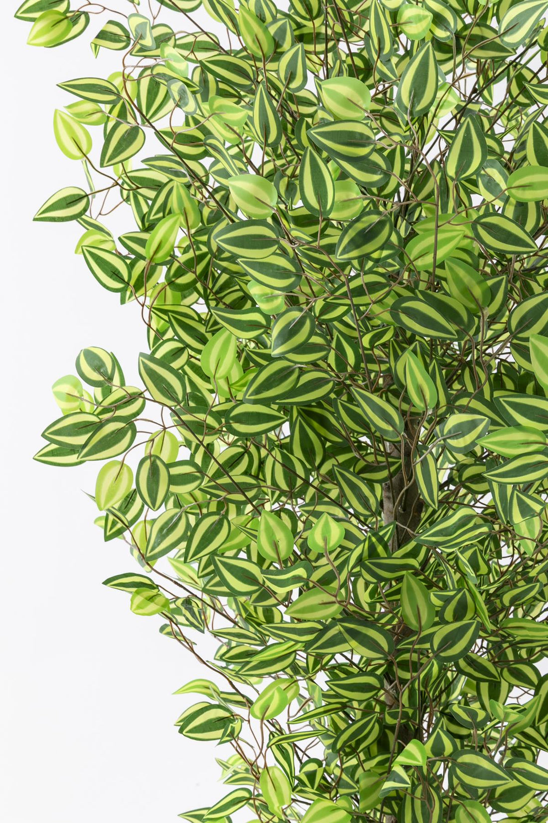 Yapay Benjamin Ağacı 180 Cm 108 Dal Yeşil Sarı