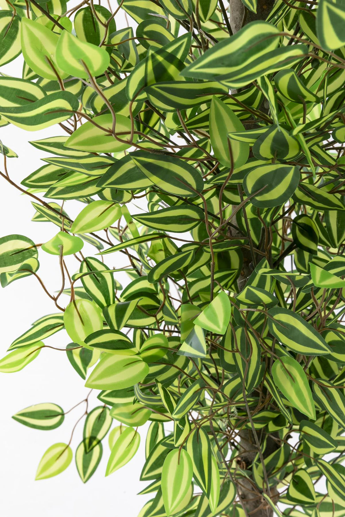 Yapay Benjamin Ağacı 180 Cm 108 Dal Yeşil Sarı