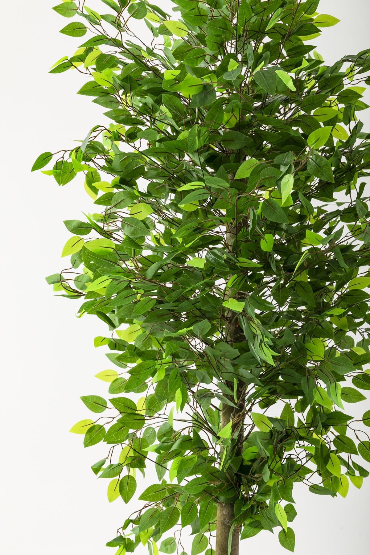 Yapay Benjamin Ağacı 180 Cm Beyaz Gold Metal Saksı