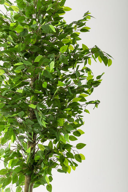 Yapay Benjamin Ağacı 180 Cm Beyaz Gold Metal Saksı