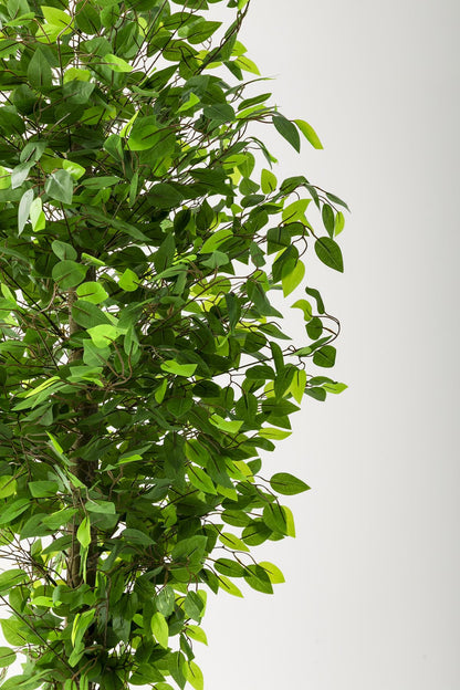 Yapay Benjamin Ağacı 180 Cm Krem Gold Metal Saksı