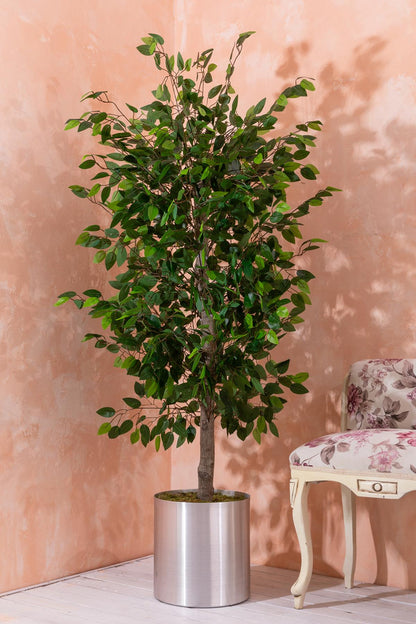 Yapay Benjamin Ağacı 180 Cm (Saksısız)