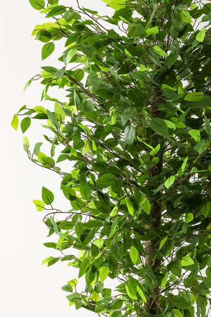 Yapay Benjamin Ağacı 200 Cm Gold Metal Metal Saksı