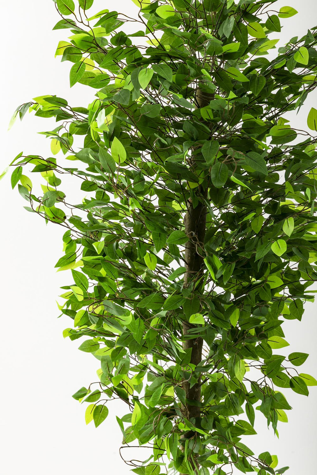 Yapay Benjamin Ağacı 200 Cm Kahverengi Metal Gold Metal Saksı