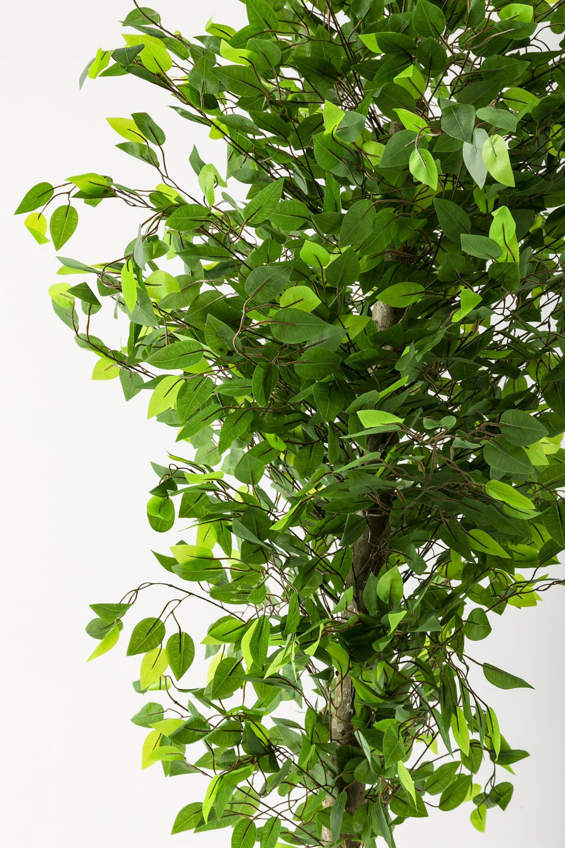 Yapay Benjamin Ağacı 200 Cm Siyah Gümüş Metal Saksı