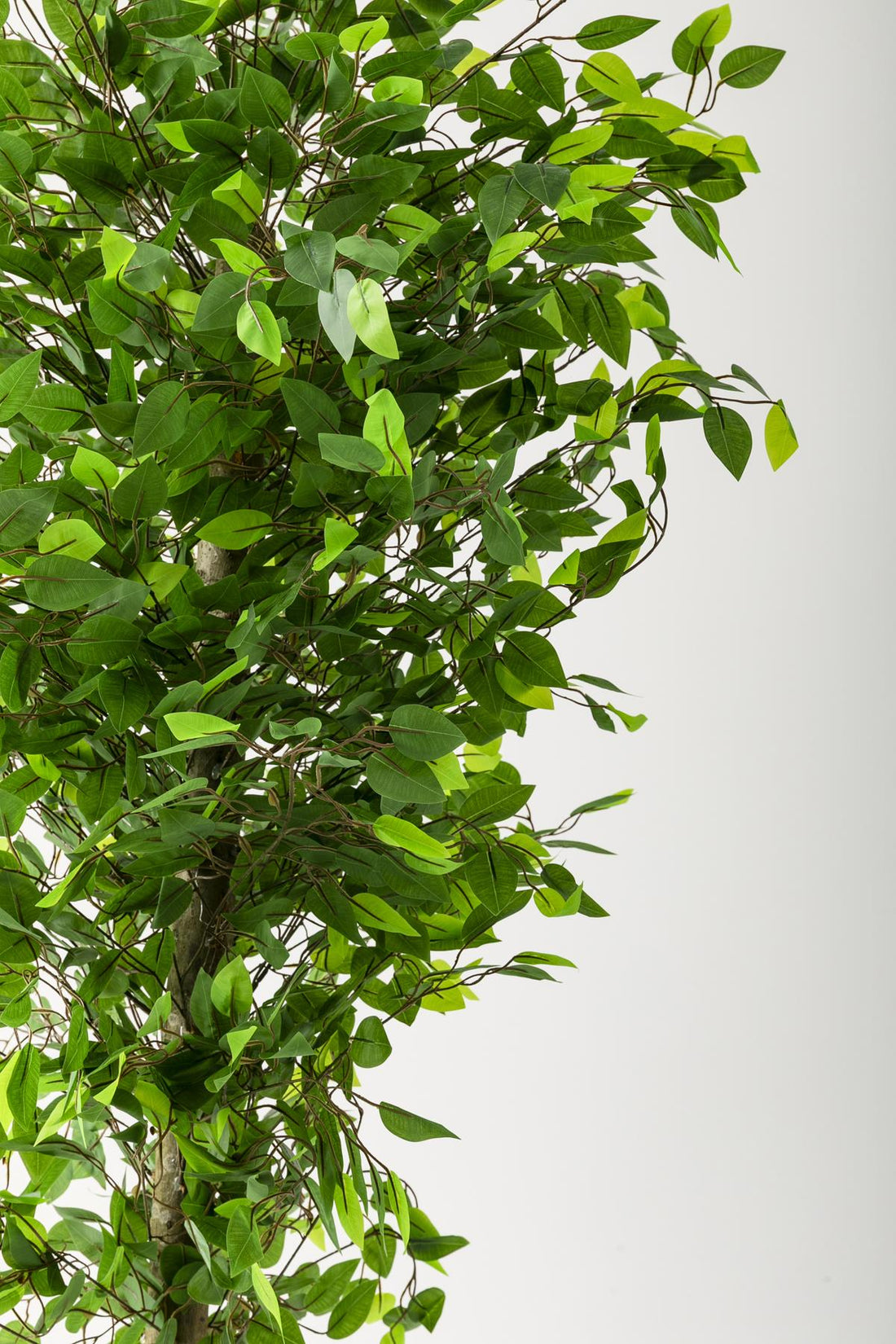 Yapay Benjamin Ağacı 200 Cm Siyah Gümüş Metal Saksı