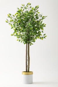 Yapay Benjamin Ağacı