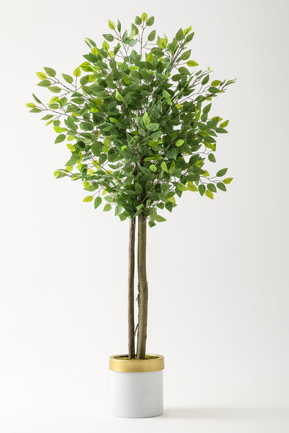 Yapay Benjamin Ağacı