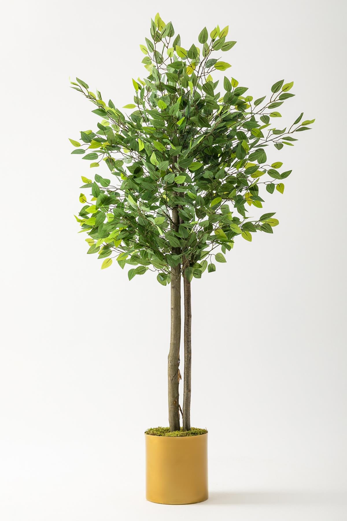 Yapay Benjamin Ağacı