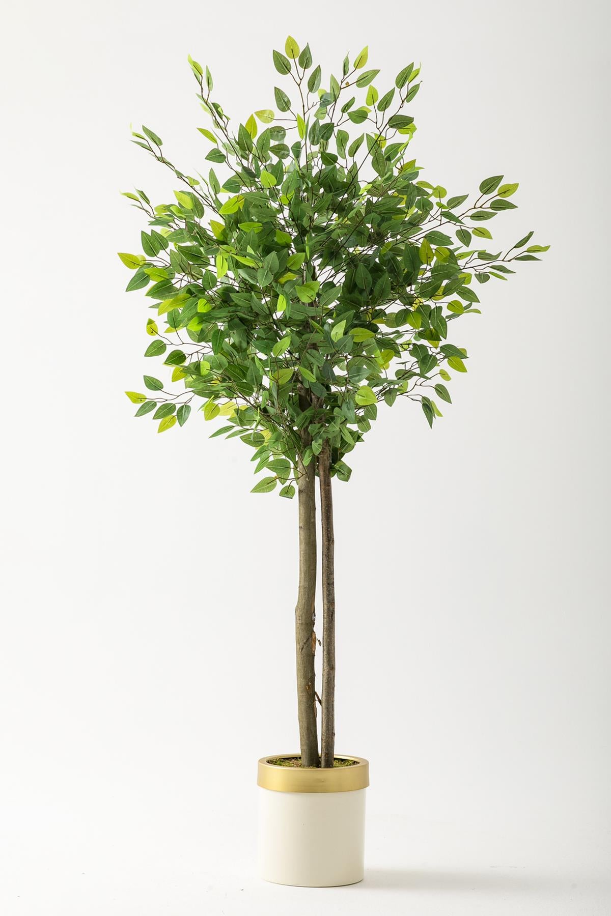 Yapay Benjamin Ağacı