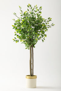 Yapay Benjamin Ağacı