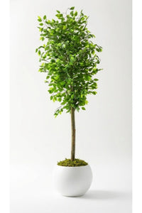 Yapay Benjamin Ağacı