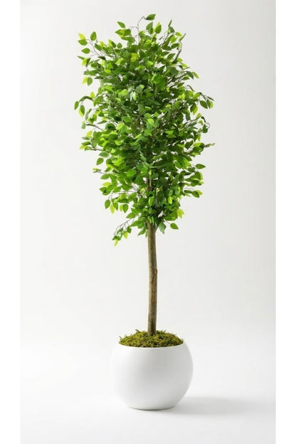 Yapay Benjamin Ağacı