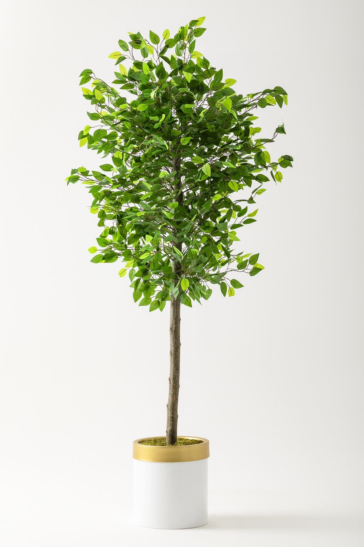 Yapay Benjamin Ağacı