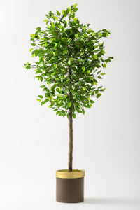 Yapay Benjamin Ağacı