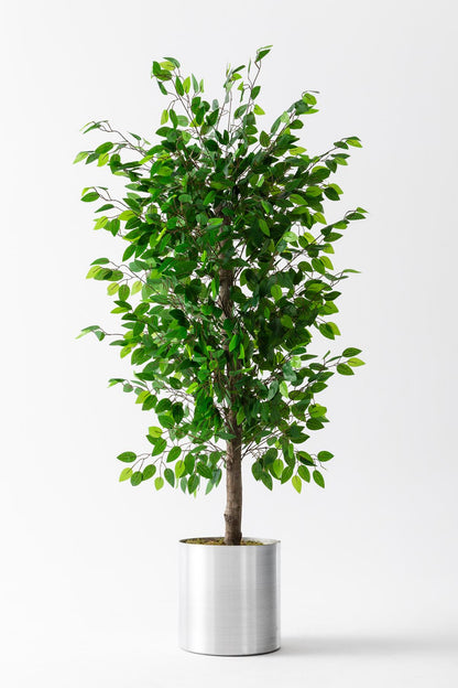 Yapay Benjamin Ağacı