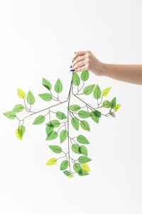 Yapay Benjamin Yaprağı Demet 12'li