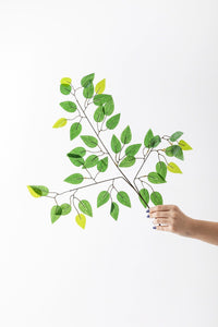 Yapay Benjamin Yaprağı Demet 12'li