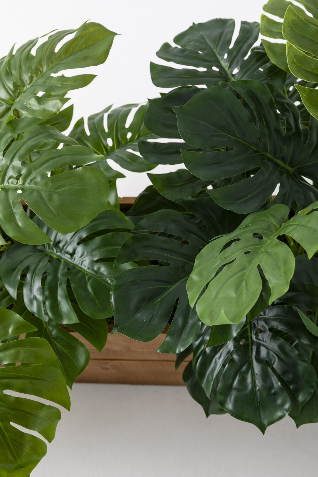 Yapay Bodur Çiçeklik Devetabanı 65 Cm