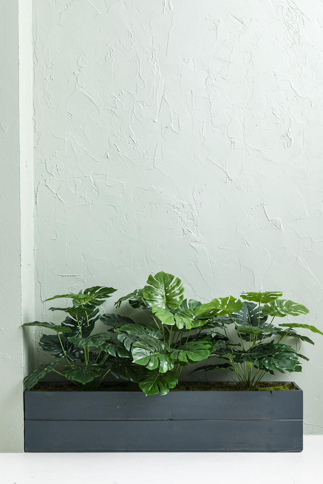 Yapay Bodur Çiçeklik Devetabanı 65 Cm Antrasit Saksı