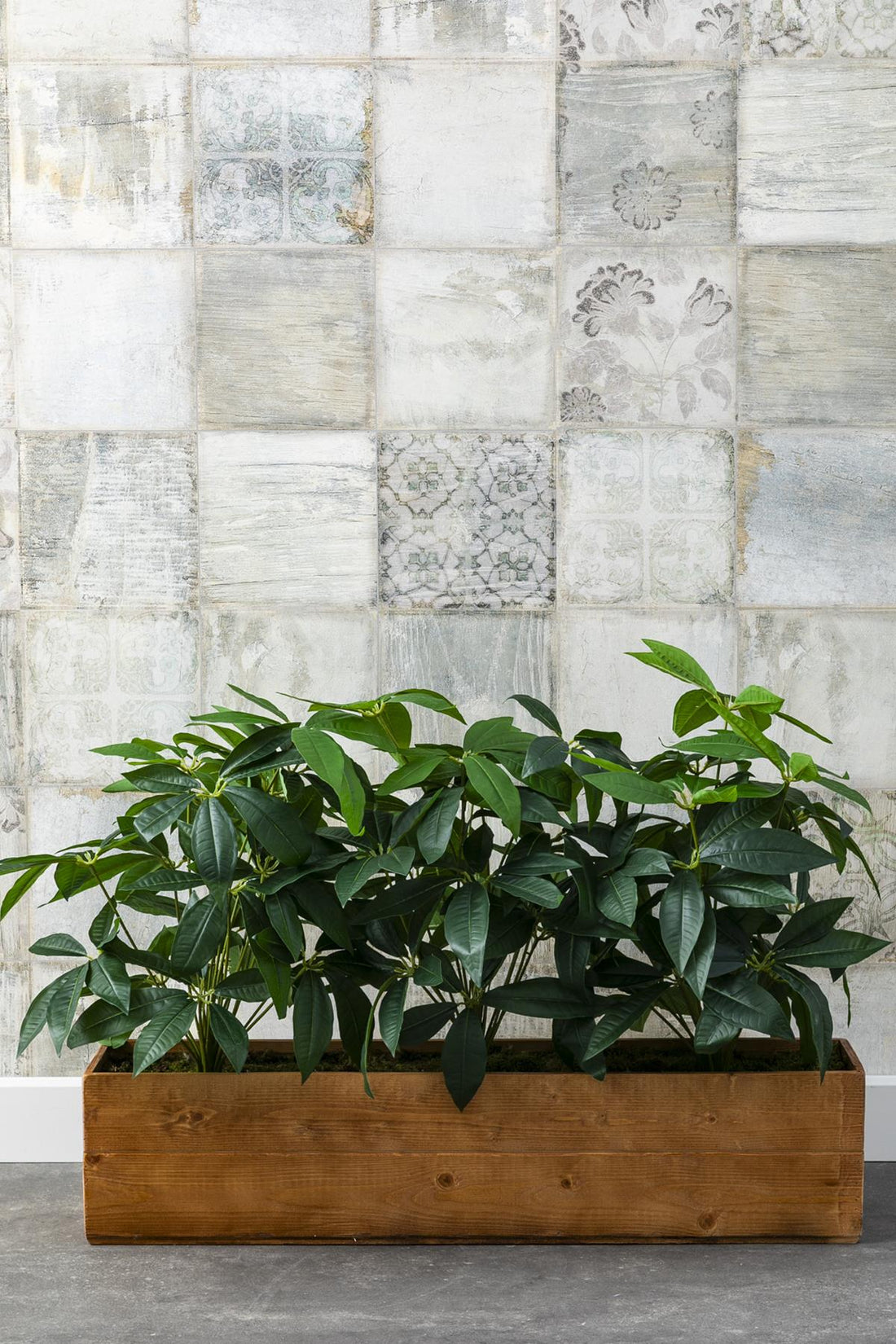 Yapay Bodur Çiçeklik Para Ağacı 80 Cm