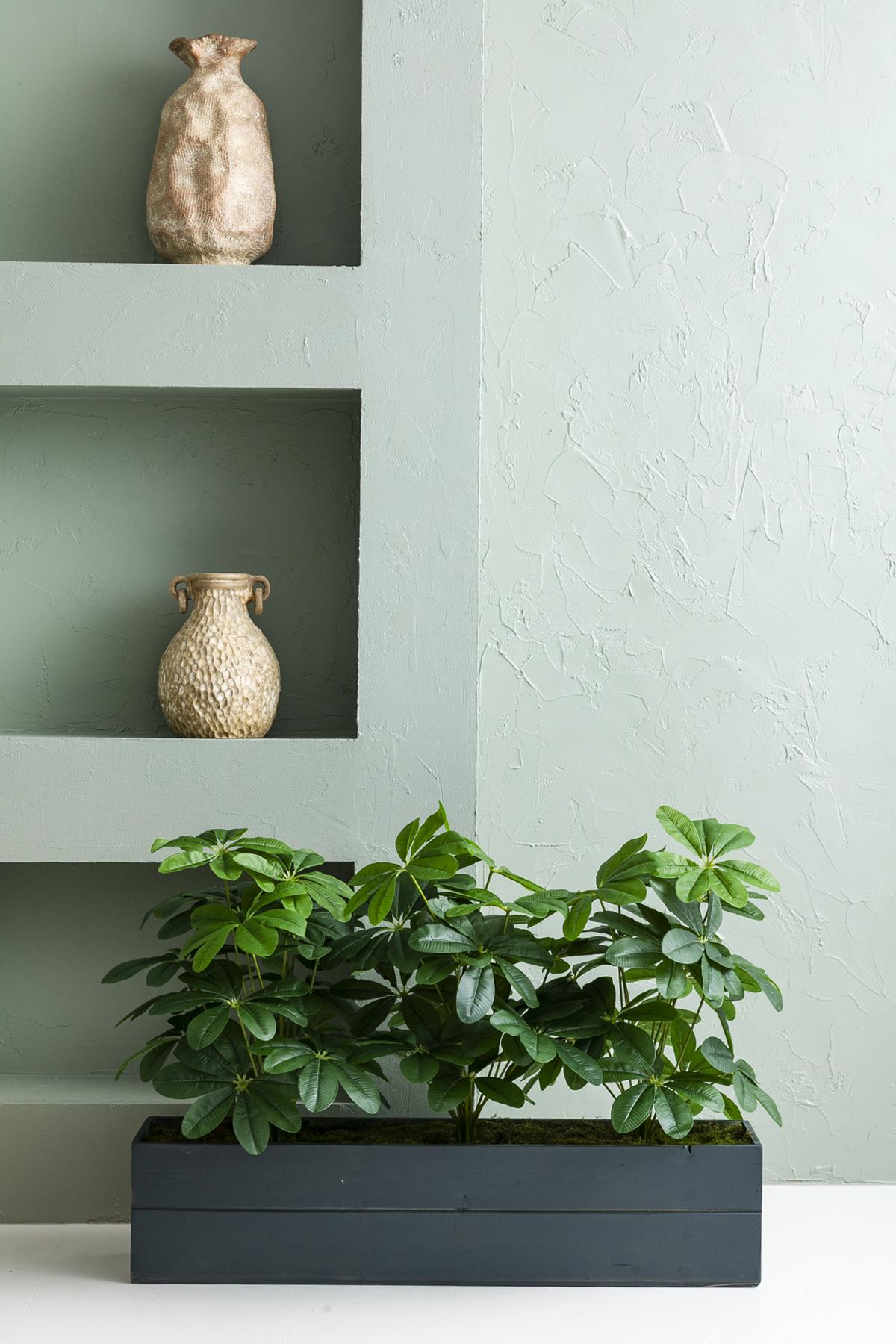 Yapay Bodur Çiçeklik Şefrole 80 Cm Antrasit Saksı