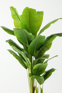 Yapay Büyük Ağaç 200 Cm Muz Ağacı