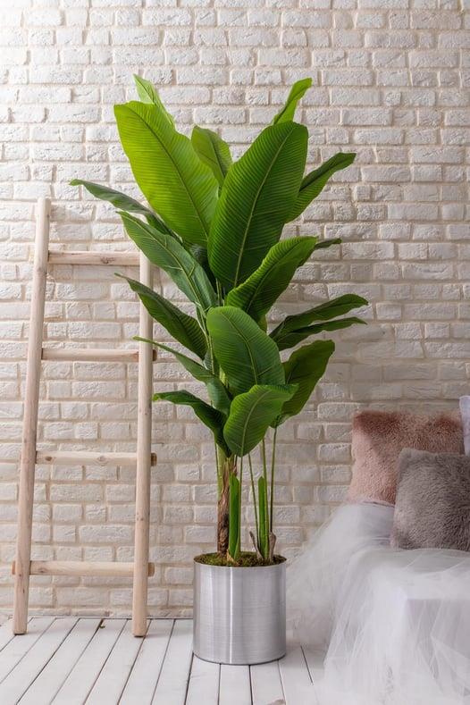 Yapay Büyük Ağaç 200 Cm Muz Ağacı