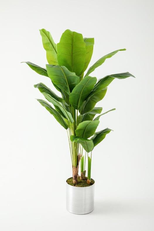 Yapay Büyük Ağaç 200 Cm Muz Ağacı