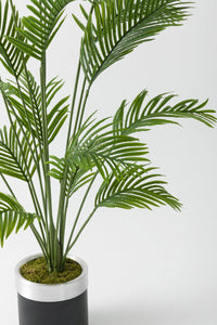 Yapay Büyük Ağaç Areka 230 Cm 18 Dal (Saksısız)