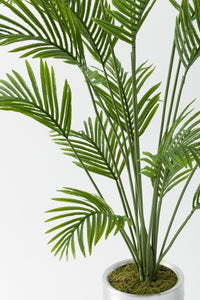 Yapay Büyük Ağaç Areka 230 Cm 18 Dal (Saksısız)