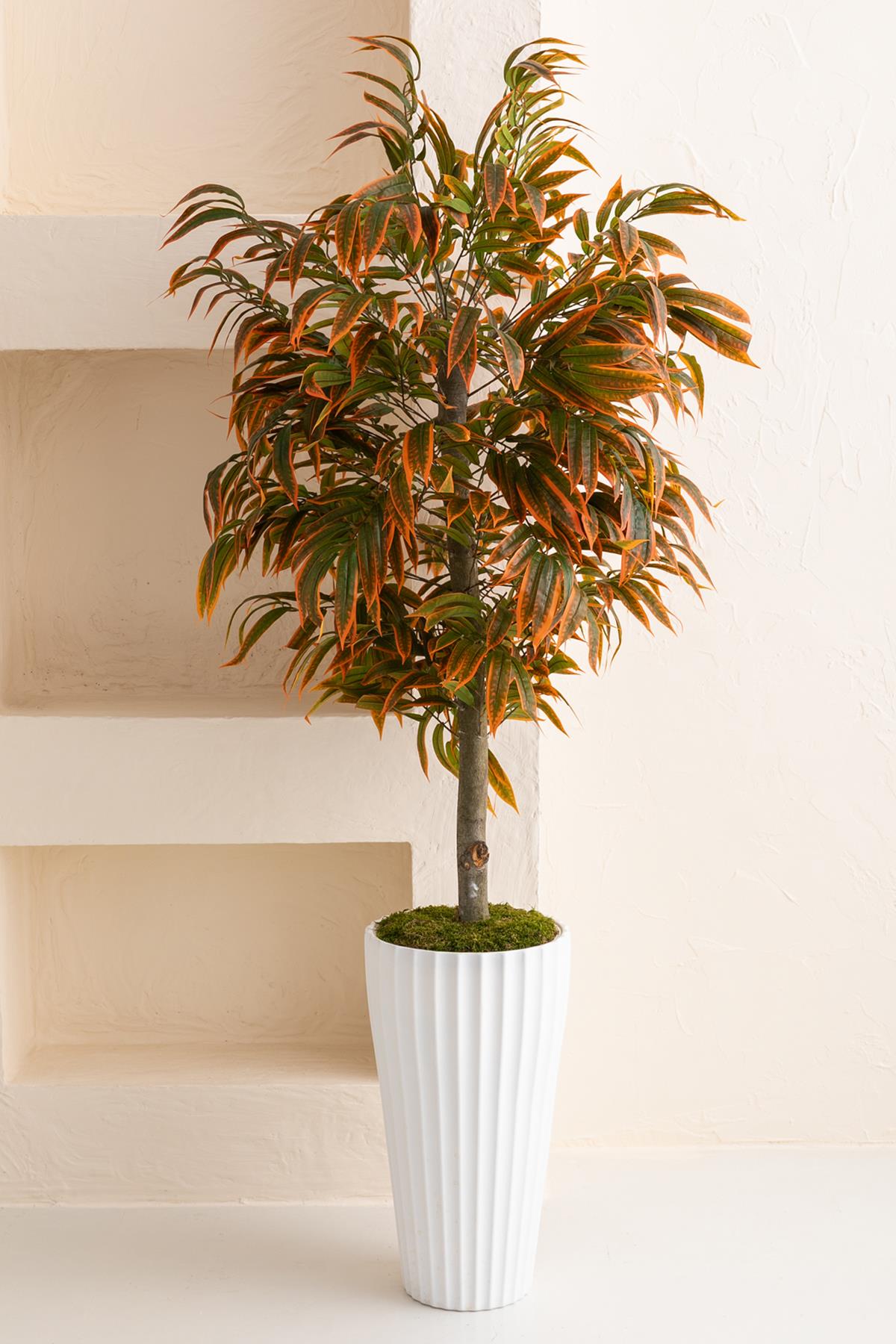 Yapay Büyük Renkli Yapraklı Ağaç