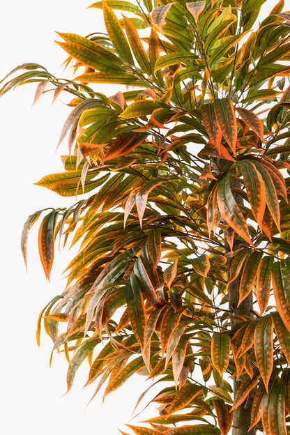 Yapay Büyük Renkli Yapraklı Ağaç