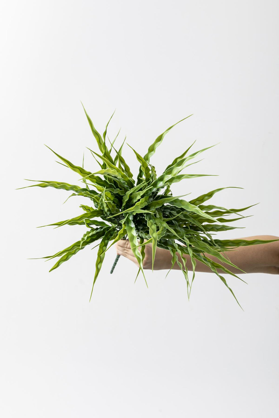 Yapay Büyük Saz Demeti Açık Yeşil 60 Cm 10 Dal