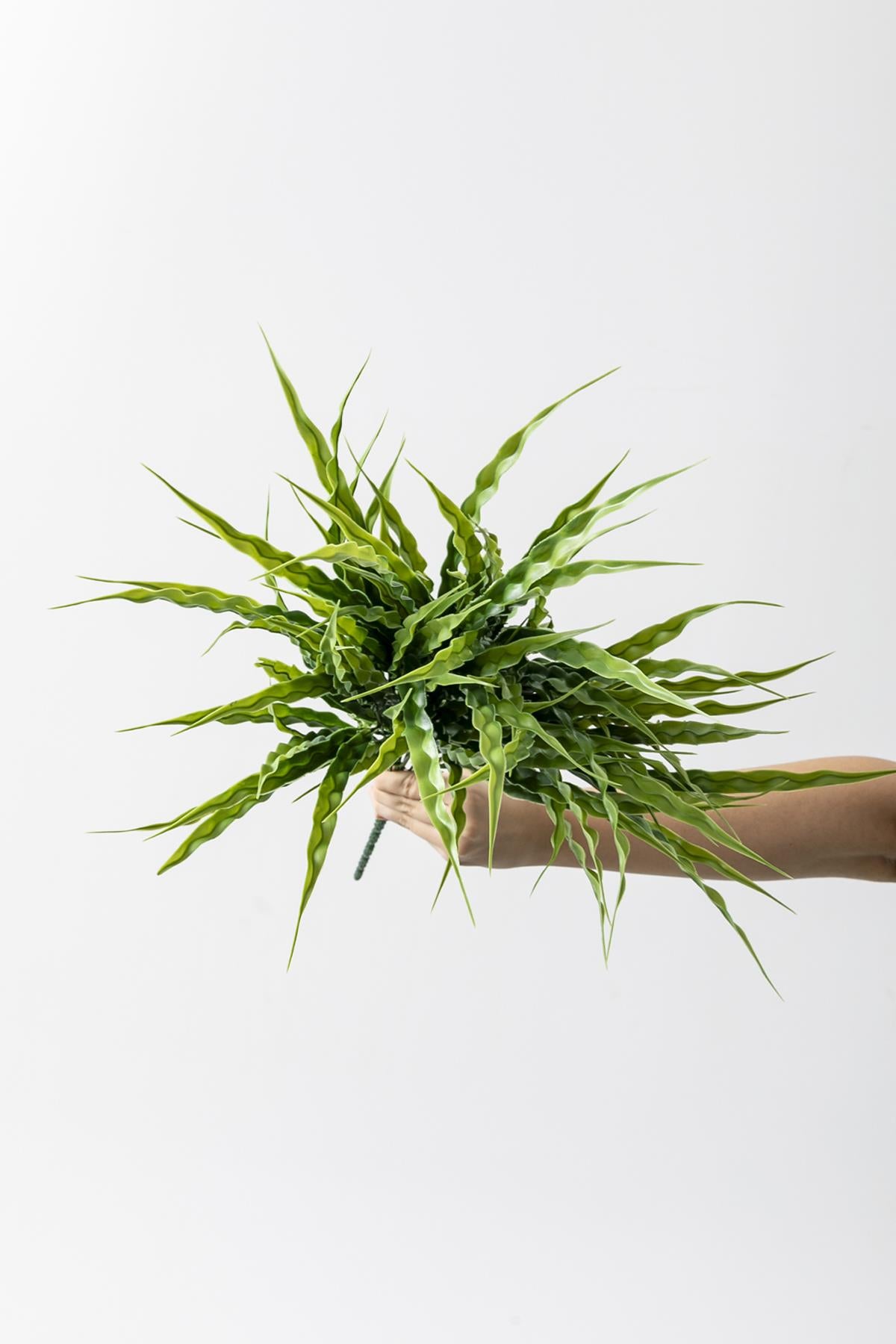 Yapay Büyük Saz Demeti Açık Yeşil 60 Cm 10 Dal