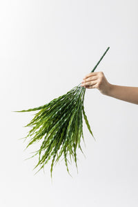 Yapay Büyük Saz Demeti Açık Yeşil 60 Cm 10 Dal