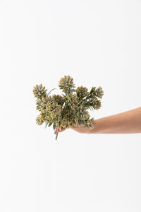 Yapay Çam Demeti 30 Cm 5 Dal